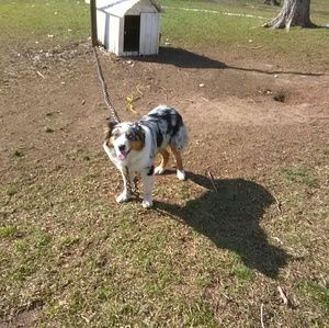 Meet your Posher, Jerry