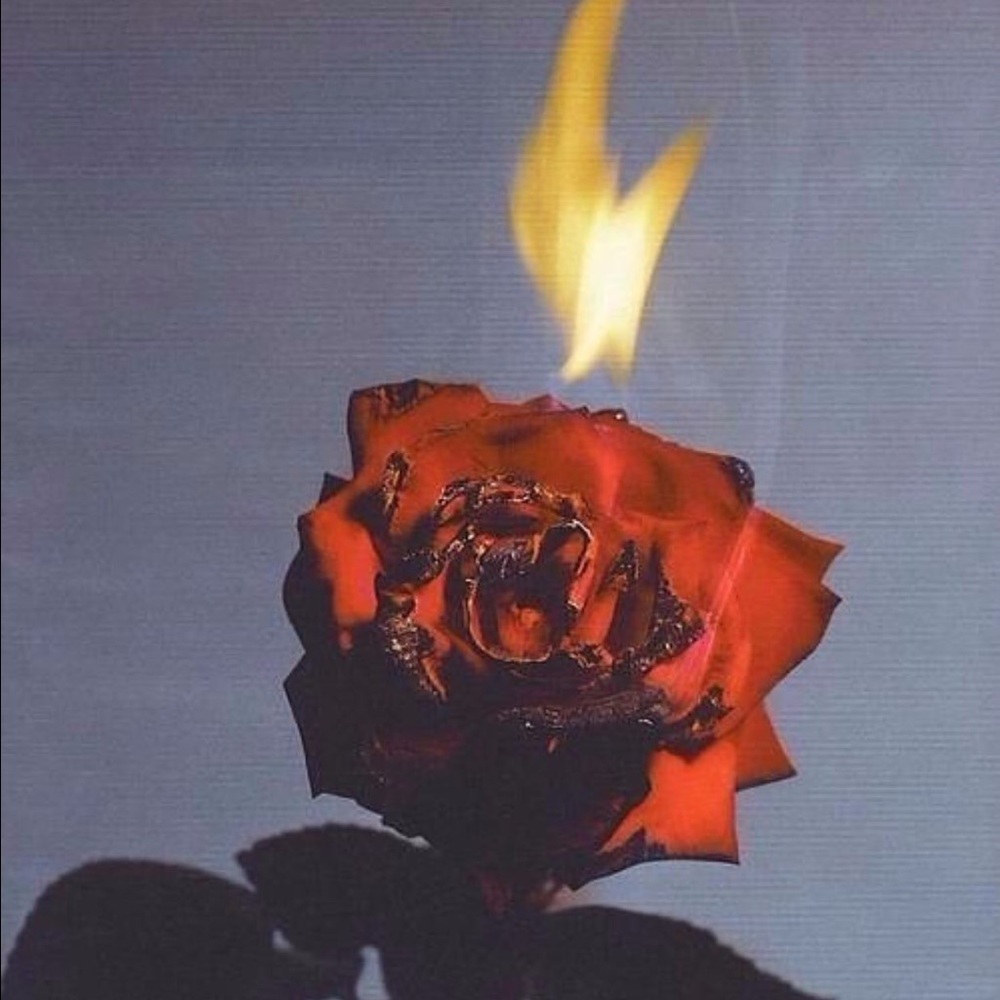 Meet your Posher, Maya