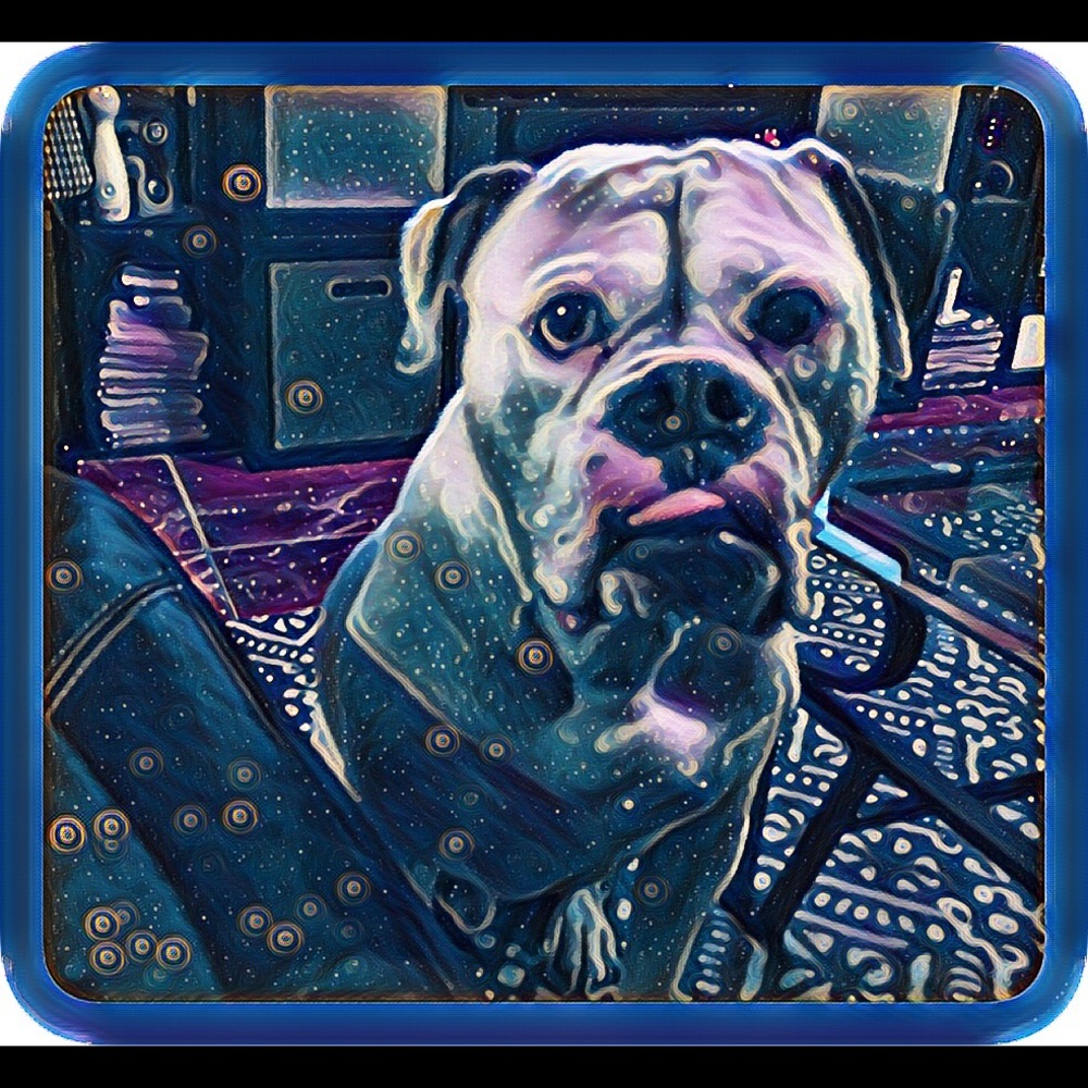 Meet your Posher, Lacey