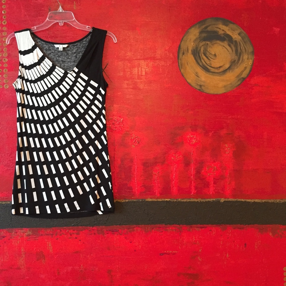 🌼SALE🌼! CABi top, XS