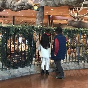 Meet your Posher, Karla