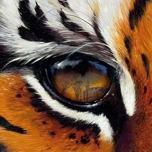 Meet your Posher, Christie