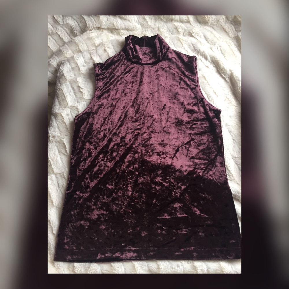 Velvet Turtle Neck Top