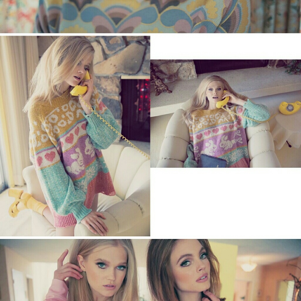 ISO Wildfox Bunny Sweater