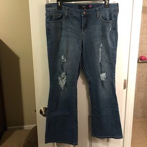 Torrid Jeans