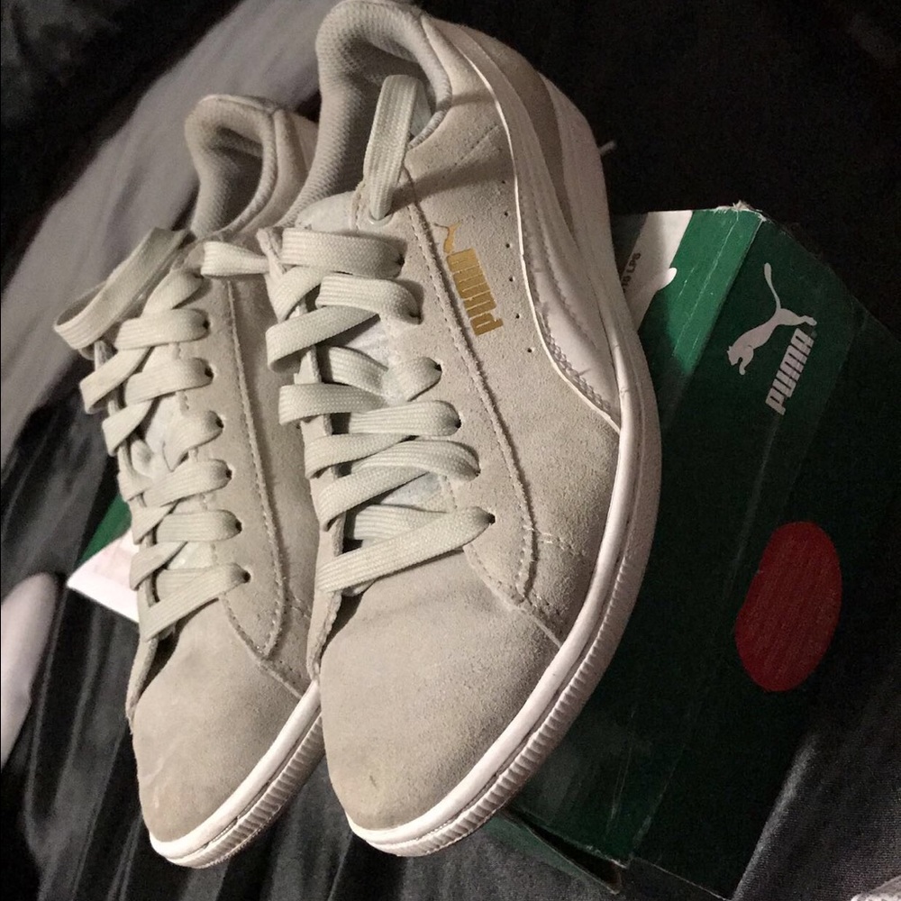 Grey Pumas