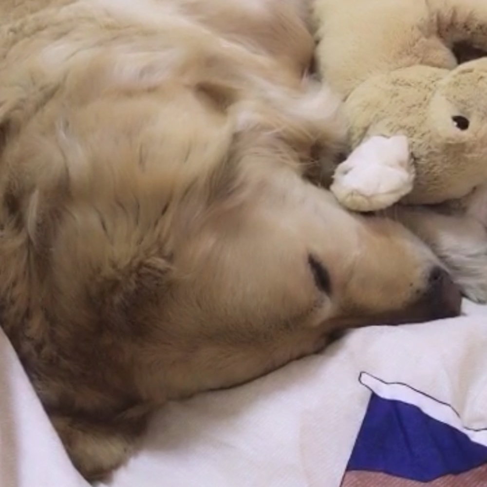 Meet your Posher, Anyi