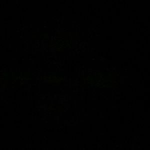 Meet your Posher, Tamara