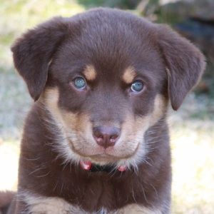 Meet your Posher, Kristin