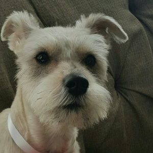 Meet your Posher, Joanny