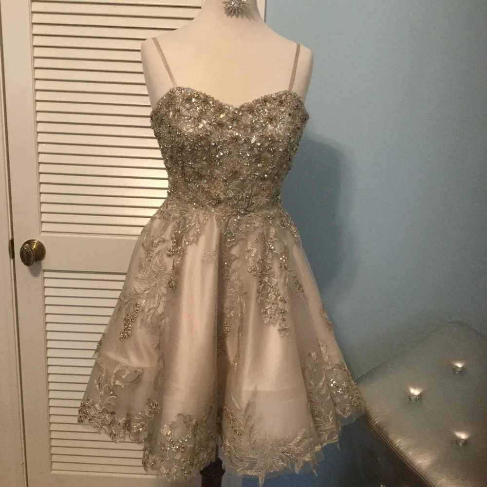  Stunning Prom / Party Dress  - Picture 6 of 6