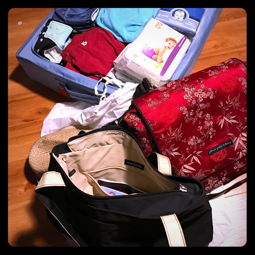 Petunia Pickle Bottom chic Baby Diaper ShoulderBag