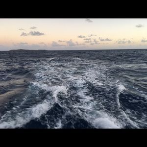 Meet your Posher, Hayden