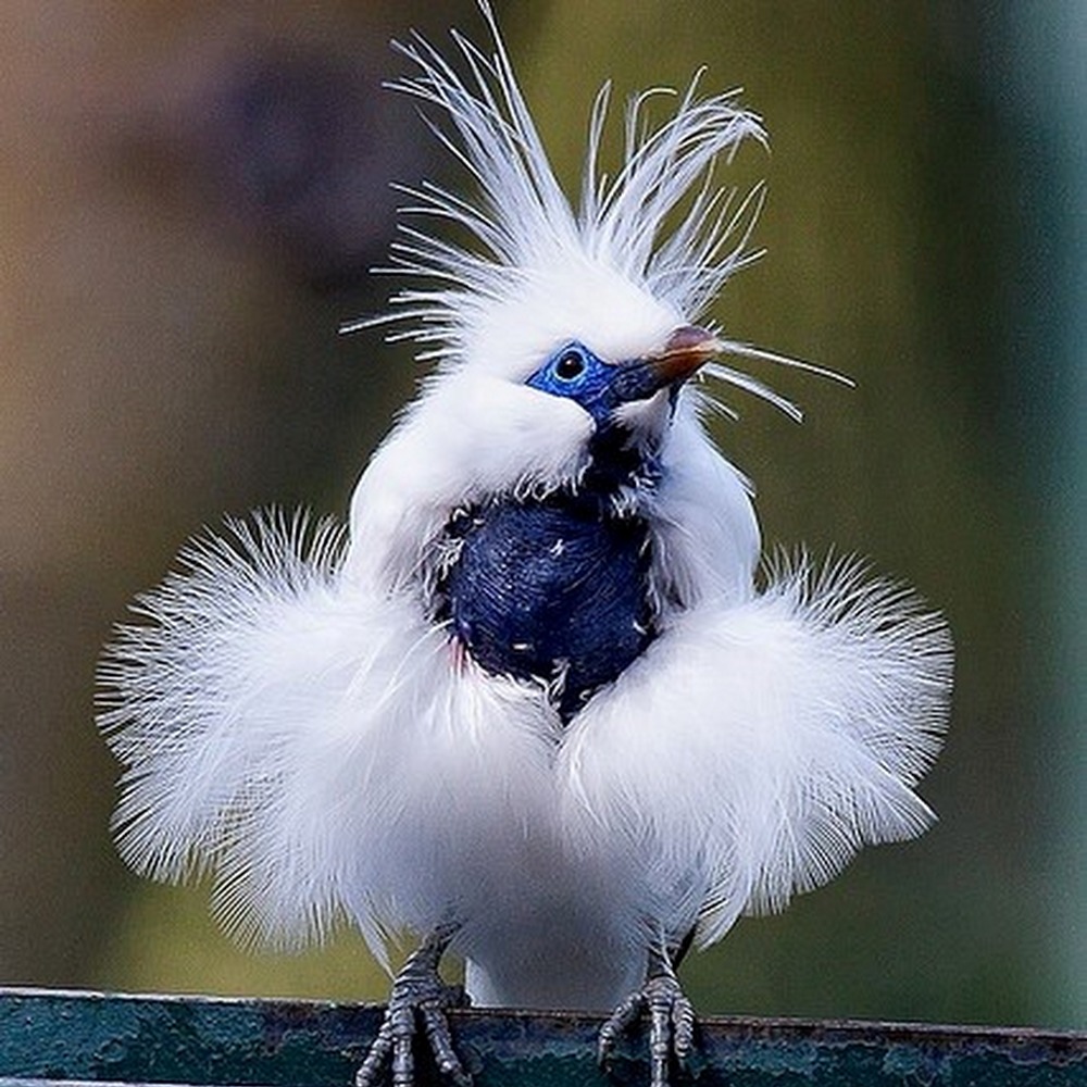 Meet your Posher, Bianca