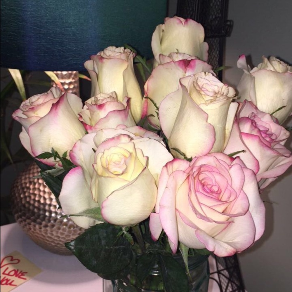 Meet your Posher, Lex