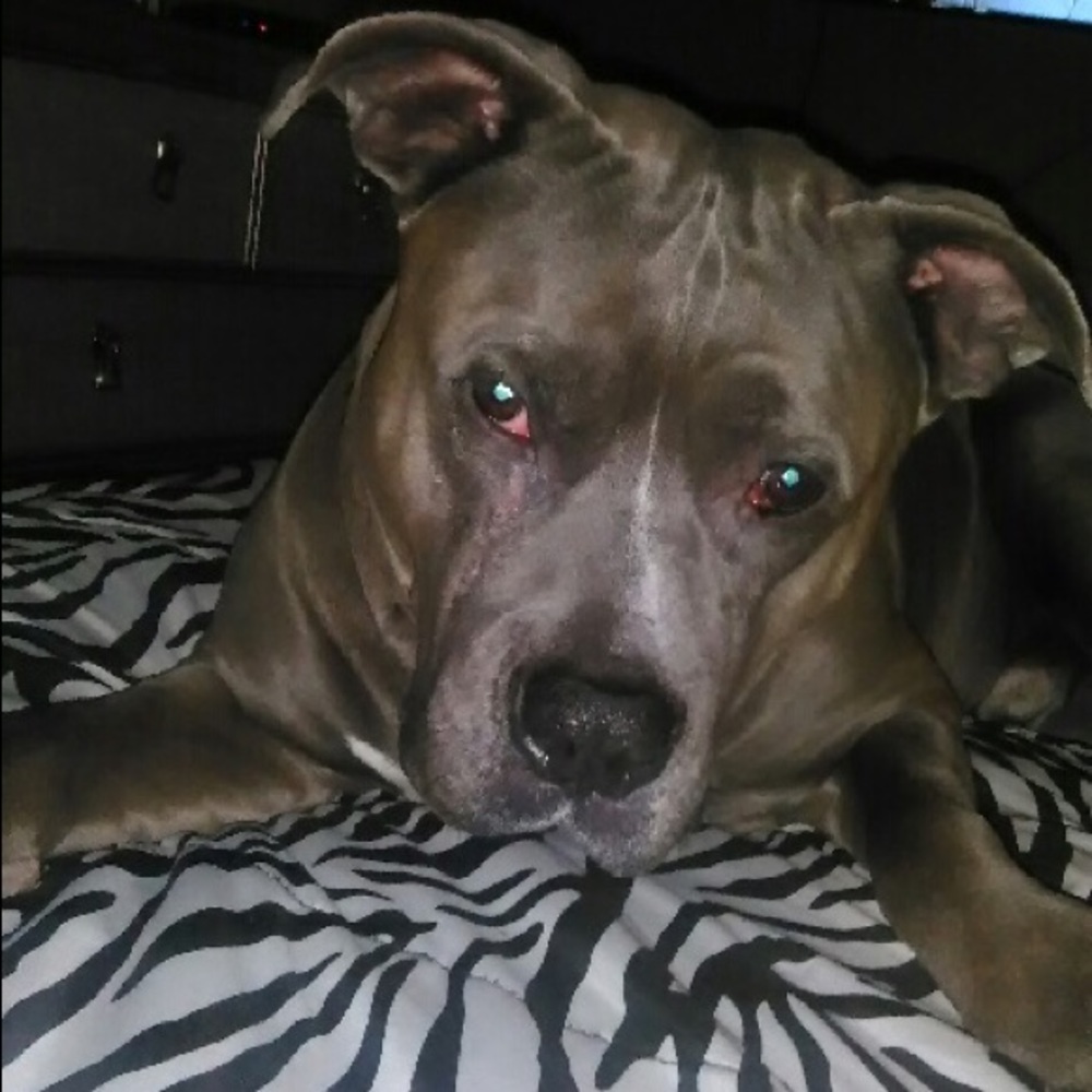 Meet your Posher, Katrina