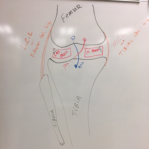 Meet your Posher, Rj - Picture 1 of 1