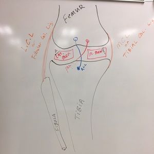 Meet your Posher, Rj