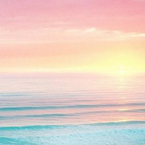 Meet your Posher, Nacole