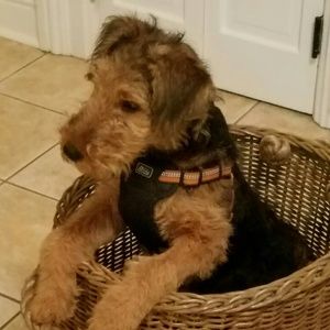 Meet your Posher, Nancy