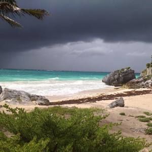 Meet your Posher, Kara