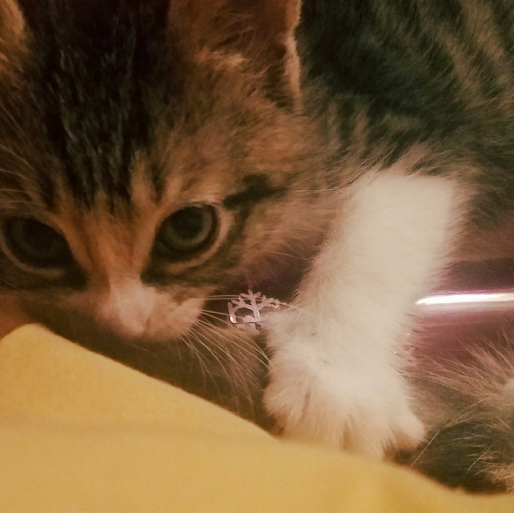 Meet your Posher, Ruth