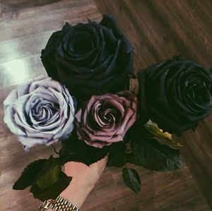 Meet your Posher, Jacob