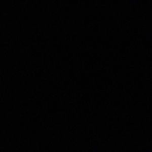 Meet your Posher, Arianna