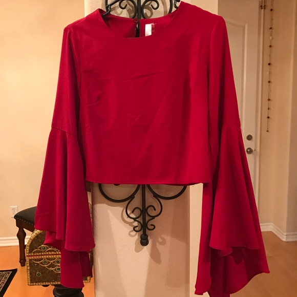 Designer super hot crop top with bell sleeves - Picture 1 of 5