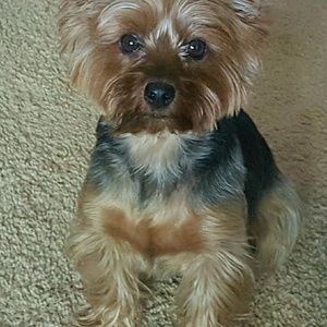 Meet your Posher, Olga