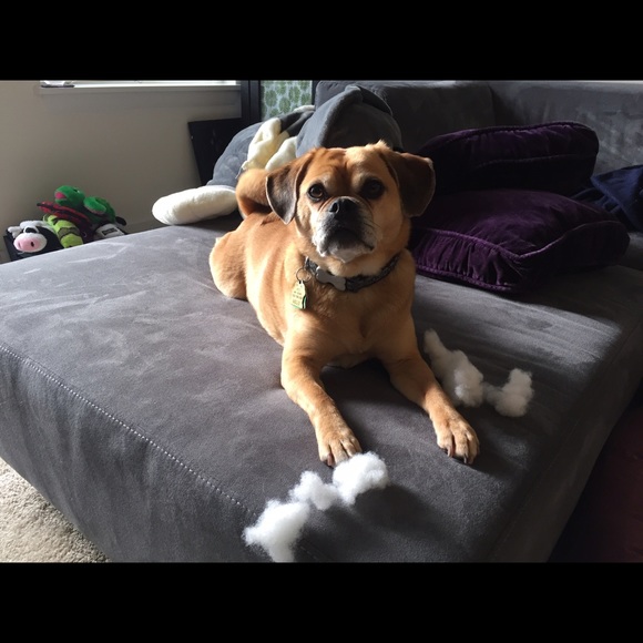 Meet your Posher, Christine - Picture 1 of 1