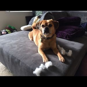 Meet your Posher, Christine