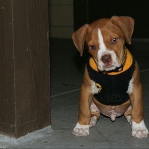 Meet your Posher, Cecil