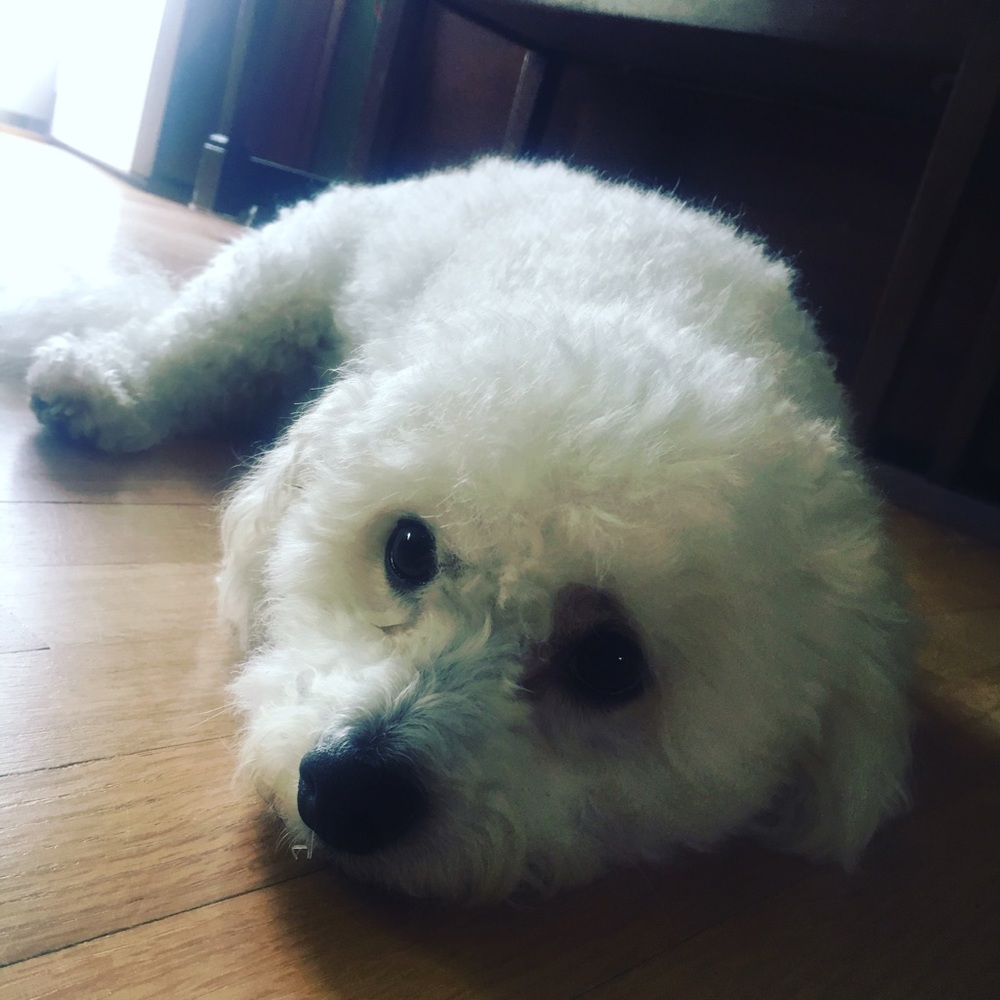 Meet your Posher, Schwartz