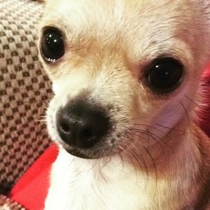 Meet your Posher, Karry