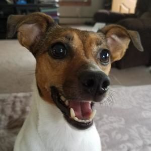 Meet your Posher, Holly