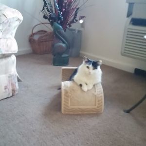 Meet your Posher, Sandy