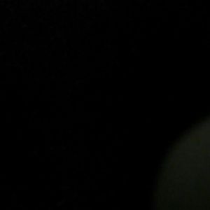 Meet your Posher, Wayne