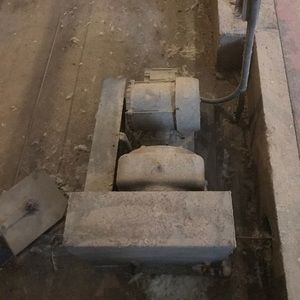 Meet your Posher, Joey