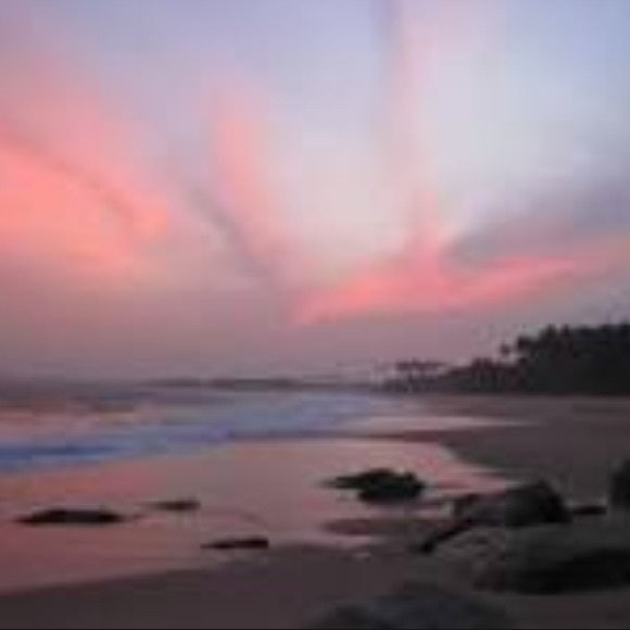 Meet your Posher, Sadie - Picture 1 of 1