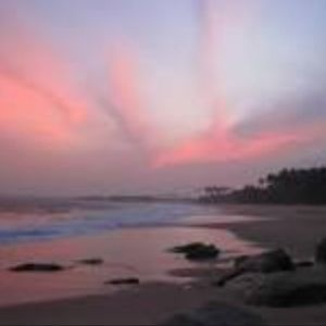 Meet your Posher, Sadie