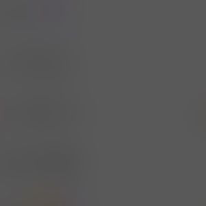 Meet your Posher, Sierra