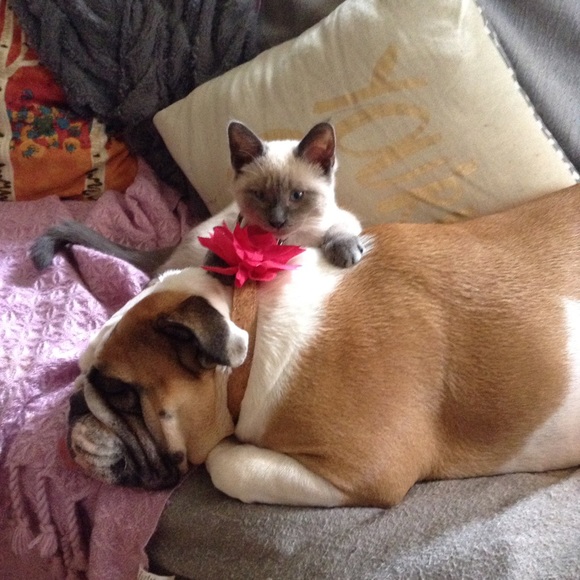 Your seller, Brittany - Picture 6 of 15