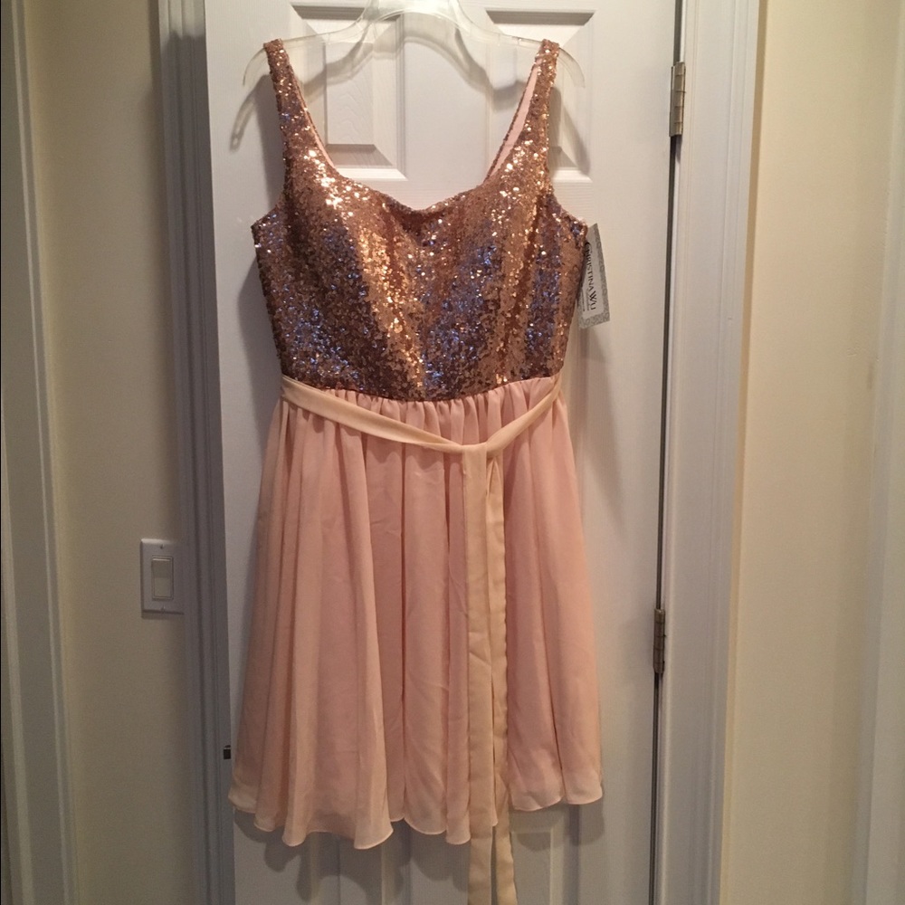 NWT Gorgeous bridesmaid dress!!!