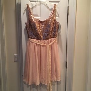 NWT Gorgeous bridesmaid dress!!!