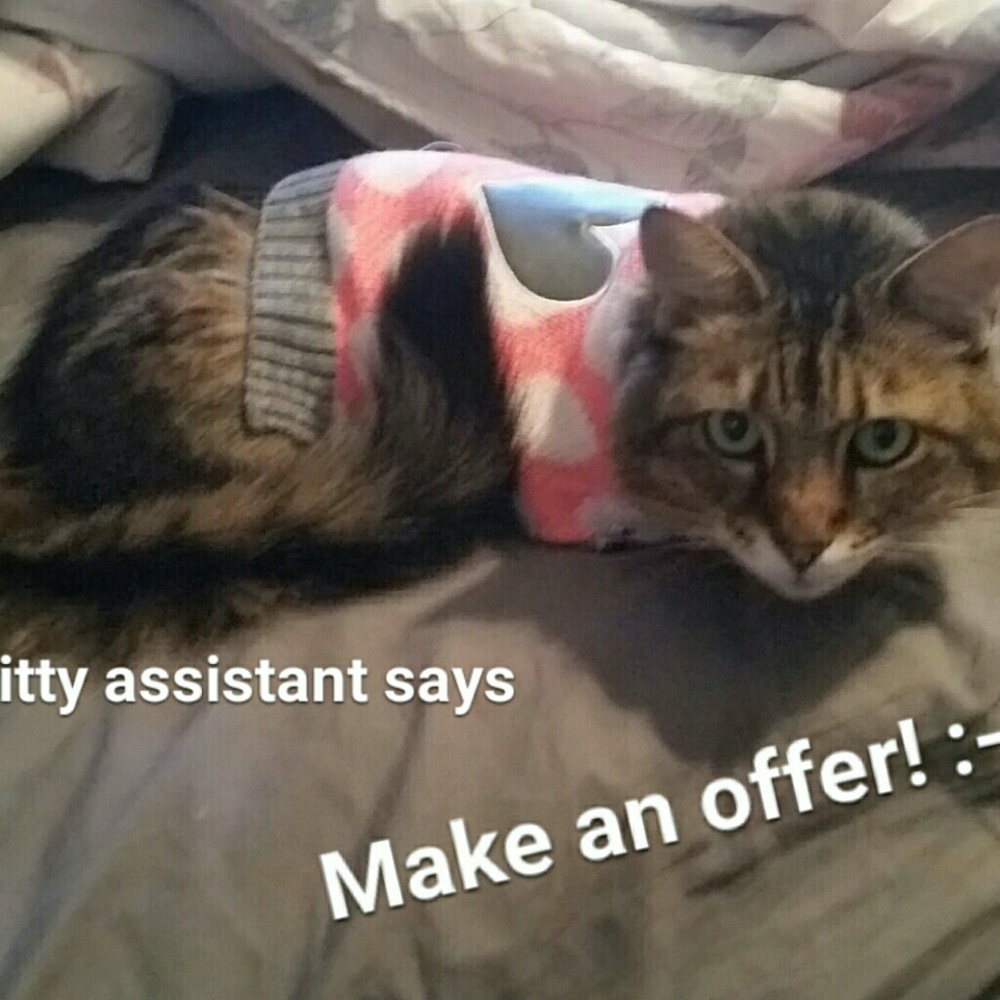 Kitty assistant says, Make an offer!