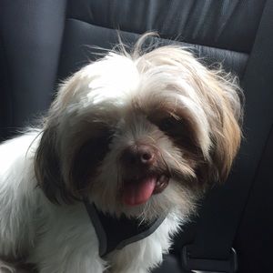 Meet your Posher, Chaunce