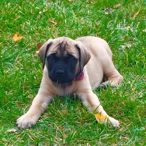 Meet your Posher, Angie