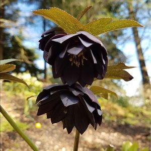 Meet your Posher, Mun