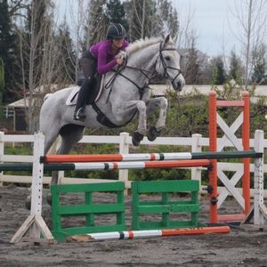 Meet your Posher, Mia